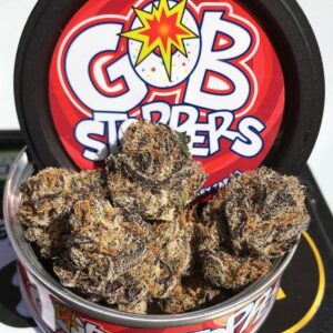Acquista Gobbstopper strain