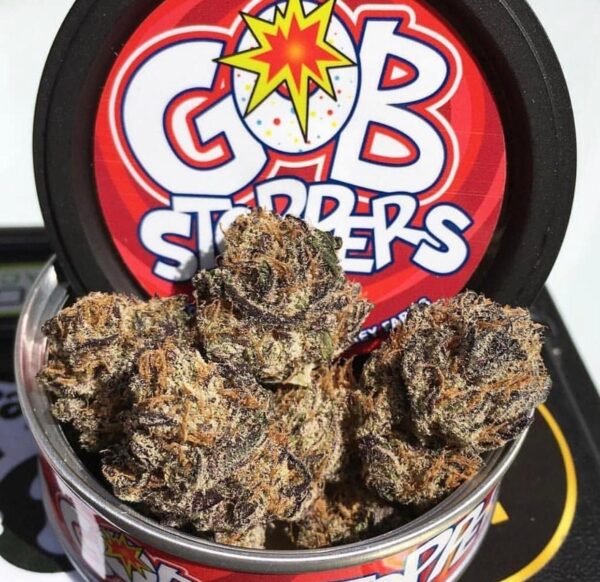 Acquista Gobbstopper strain