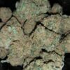 Acquista Golden Goat erba