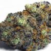 Acquista Afgooey marijuana