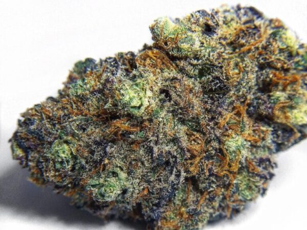 Acquista Afgooey marijuana