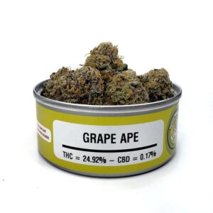 Acquista Afgooey marijuana