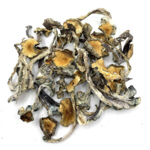 Acquista HillBilly Magic Mushroom