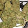 Acquista Jack Frost Marijuana