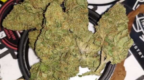 Acquista Jack Frost Marijuana