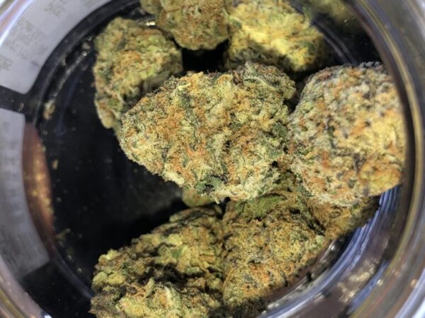 Acquista Jelly Breath marijuana