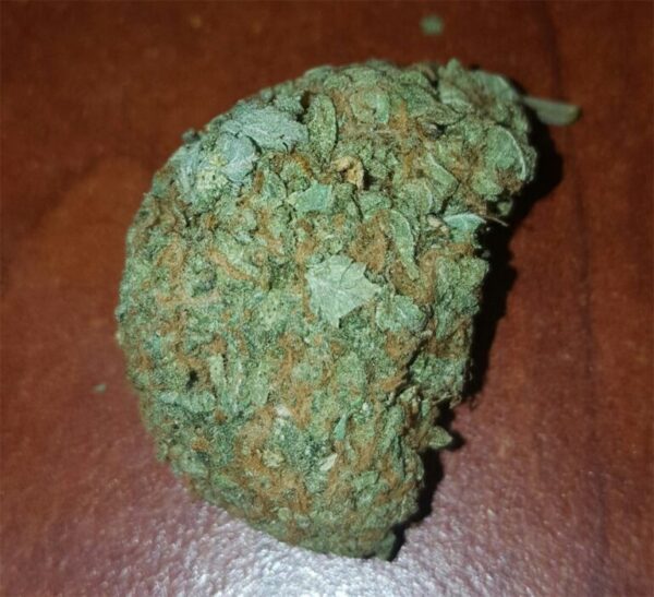 Acquista Key Lime Pie marijuana
