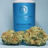 Acquista Lemon Cake marijuana