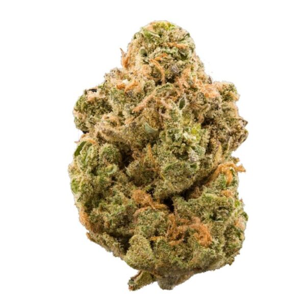 Acquista Aurora Indica Marijuana