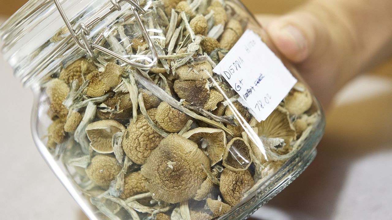 comprare funghi online