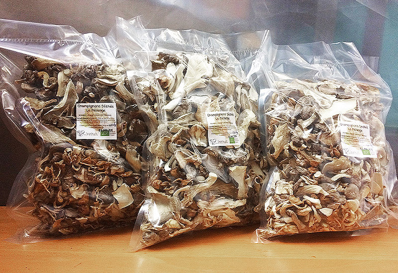 comprare funghi magici