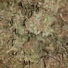 Acquista Neville’s Haze Marijuana