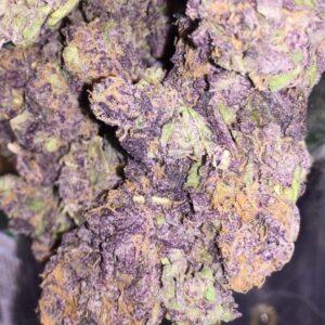 Acquista Purple Haze erba