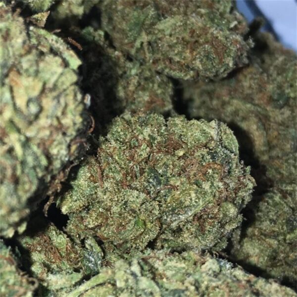 Acquista Sour Diesel erba