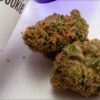 Acquista Sugar Cookie