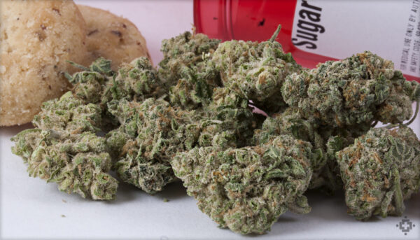 Acquista Sugar Cookie