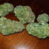 Acquista Trainwreck erba