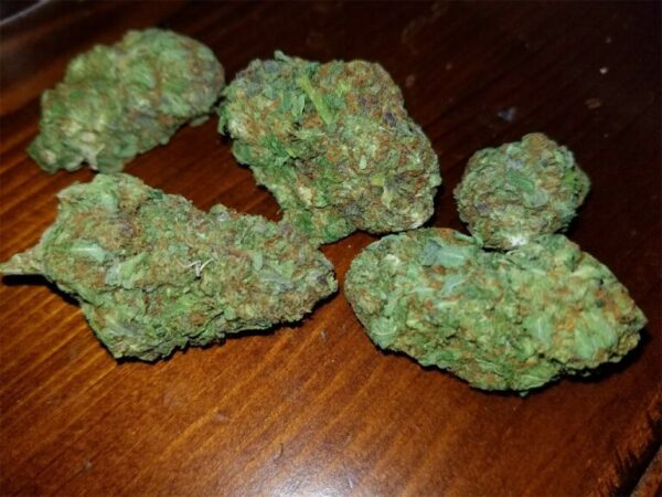 Acquista Trainwreck erba
