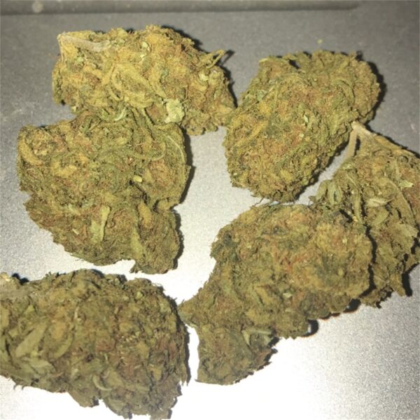 Acquista Trainwreck erba